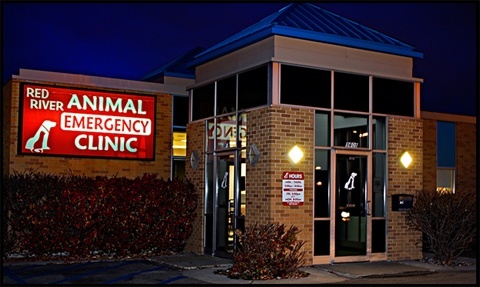 animal emergency clinic